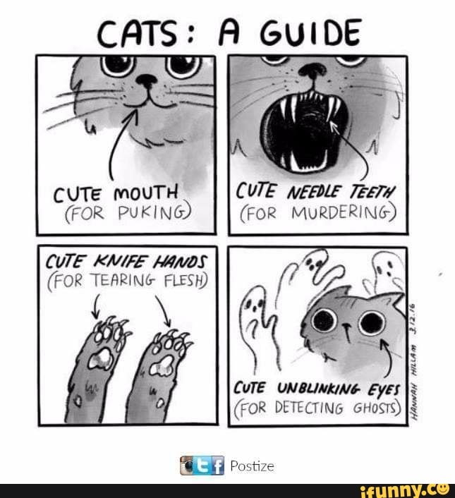 CUTE NEEDLE TEETH
(FOR MURDERING)
CUTE MOUTH
(FOR PUKING)
CUTE KNIFE anos
(FOR TEARING FLESH)
CUTE UNBLINKING Eyes
(FOR DETECTING GHOSTS)