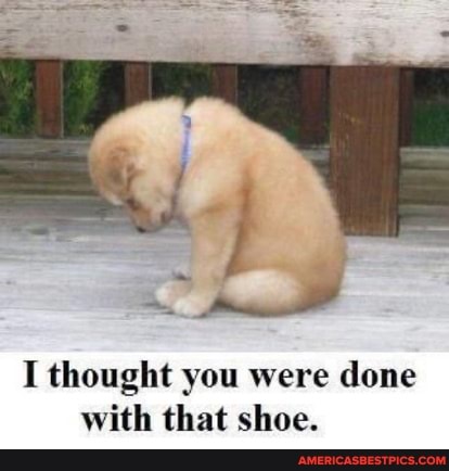I thought you were done with that shoe.
