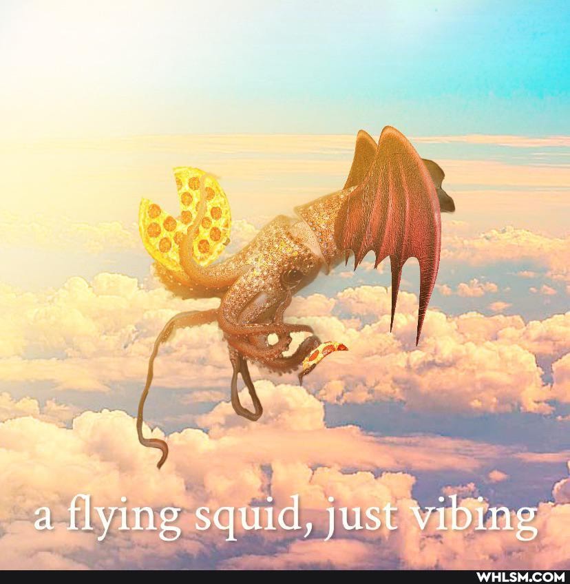 a flying squid, just vibing