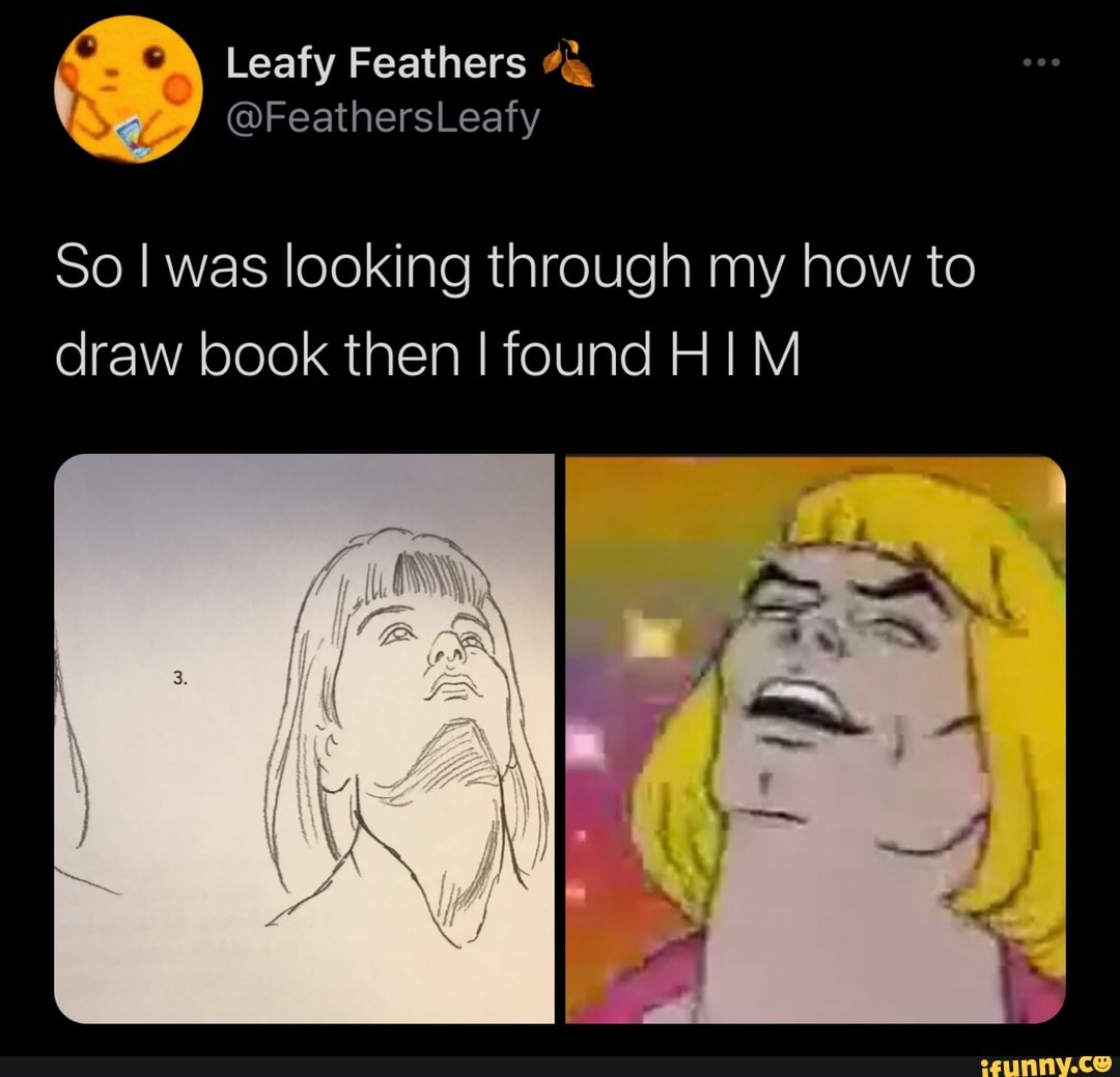Leafy Feathers
@FeathersLeafy
So I was looking through my how to draw book then I found HM