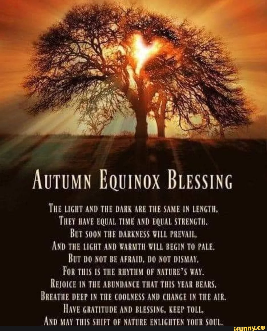 AUTUMN EQUINOX BLESSING THE LIGHT AND THE DARK ARE THE SAME IN LENGTH, THEY HAVE EQUAL TIME AND EQUAL STRENGTH. BUT SOON THE DARKNESS WILL PREVAIL, AND THE LIGHT AND WARMTH WILL BEGIN TO PALE, Bur DO NOT BE AFRAID, DO NOT DISMAY, For THIS is THE RUYTUM OF WAY. REJOICE IN THE ABUNDANCE THAT THIS YEAR BEARS, BREATHE DEEP IN THE COOLNESS AND CHANGE IN THE AIR. HAVE GRATITUDE AND BLESSING, KEEP TOLL, AND MAY THIS SHIFT OF NATURE ENLIGHTEN YOUR SOUL.