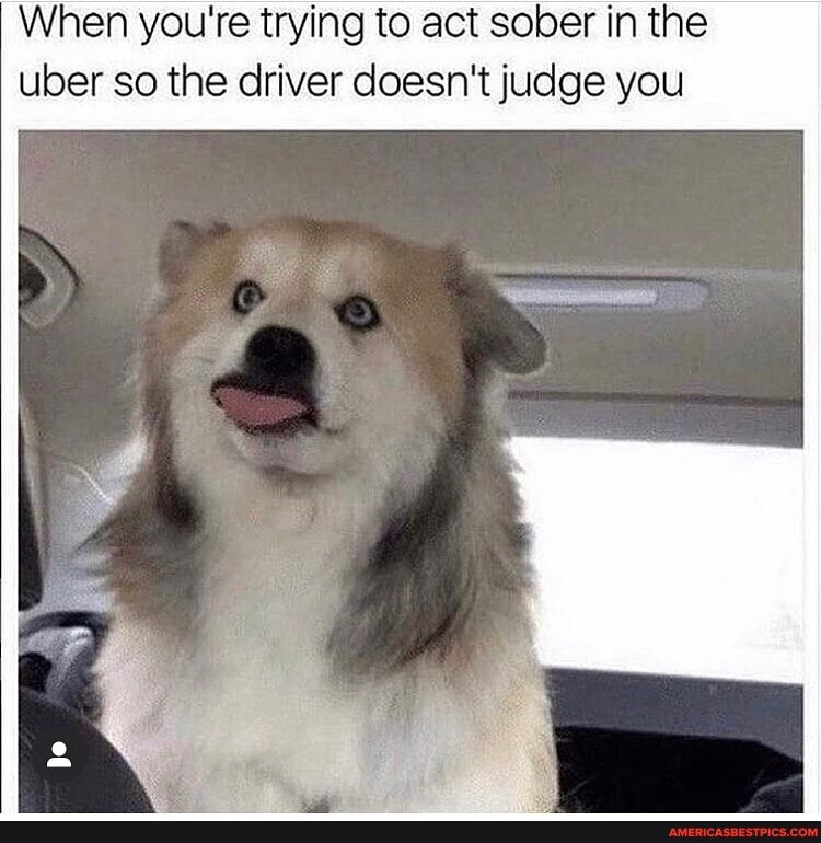 When you're trying to act sober in the uber so the driver doesn't judge you