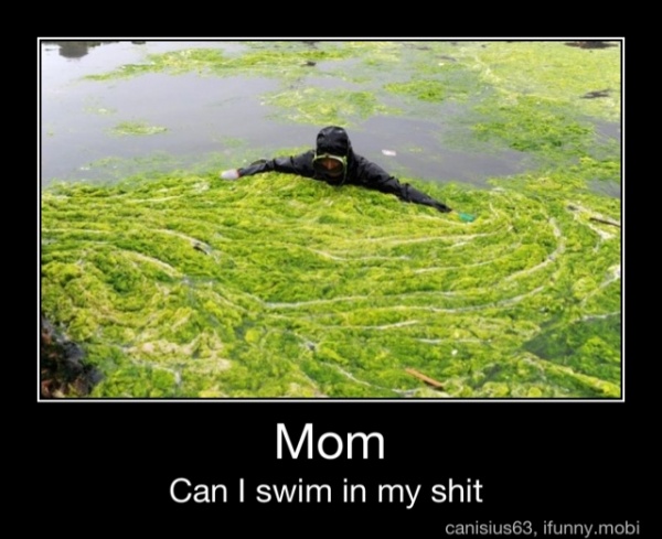 Can I swim in my shit - Mom
Can I swim in my shit