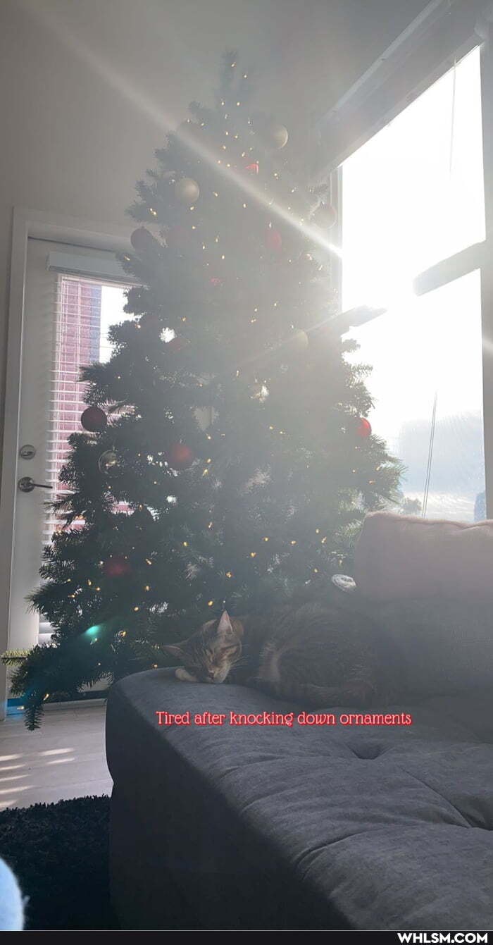 Tired after knocking down ornaments