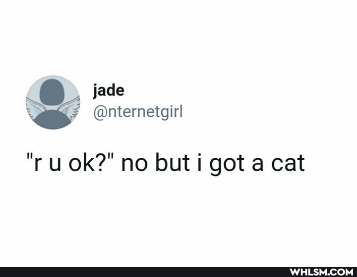 jade
@nternetgirl
ok?" no but i got a cat