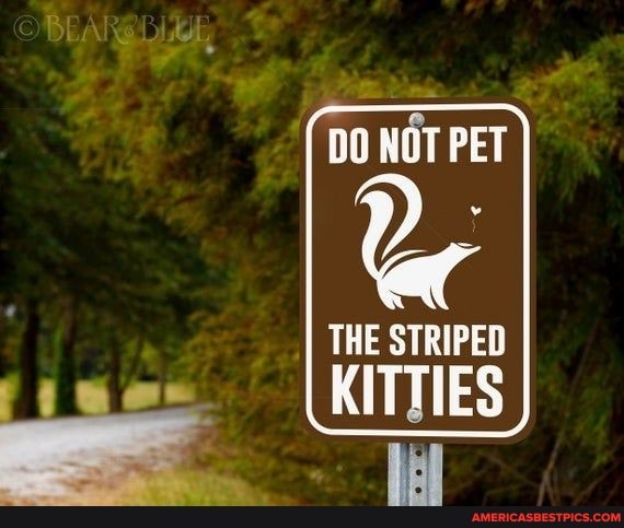 DO NOT PET
I THE STRIPED KITTIES