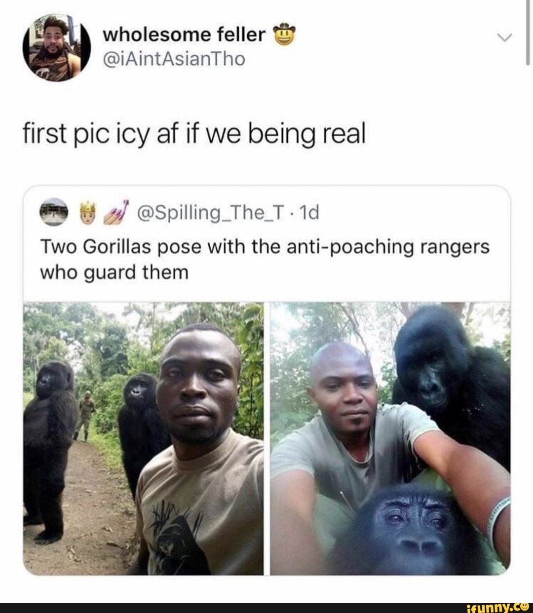 first pic icy af if we being real
E E 4 ESpilling The T-1d
Two Gorillas pose with the anti-poaching rangers
who guard them