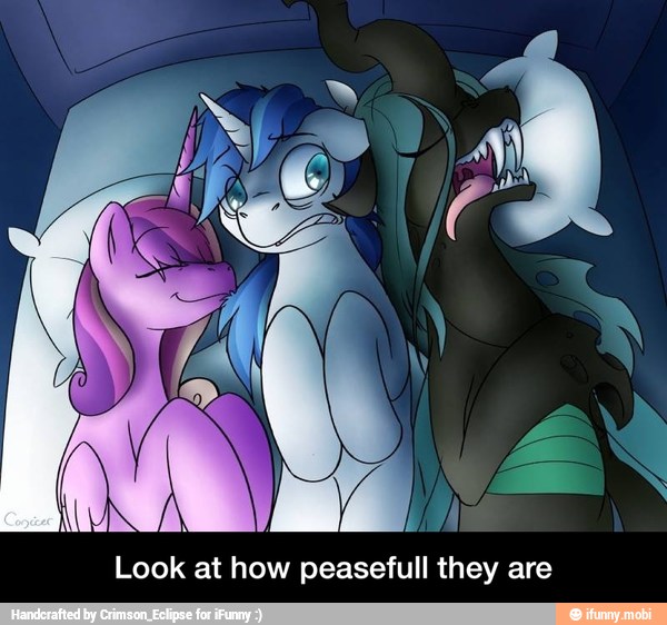 Look at how peasefull they are - Look at how peasefull they are
