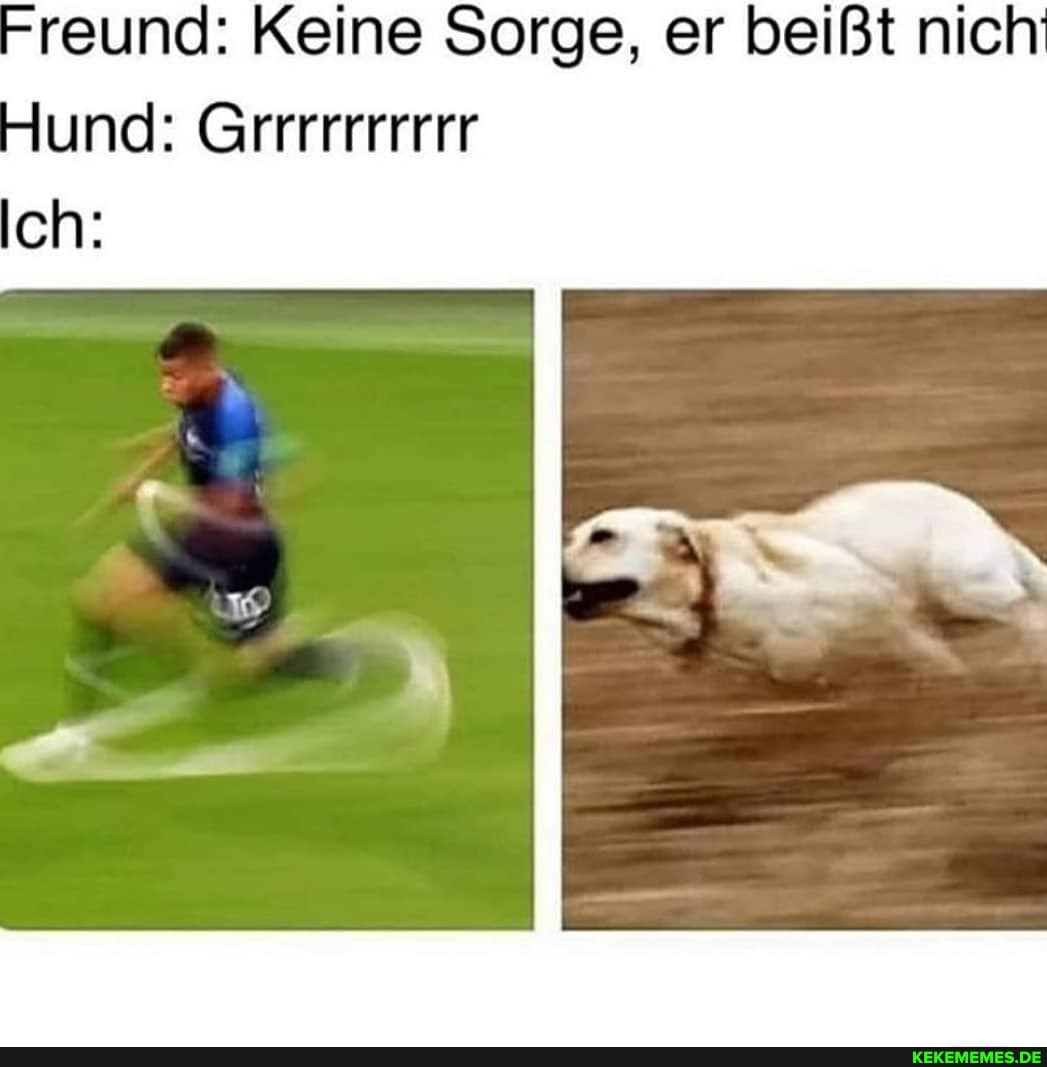 Freund: Keine Sorge, er beißt nich
Hund: