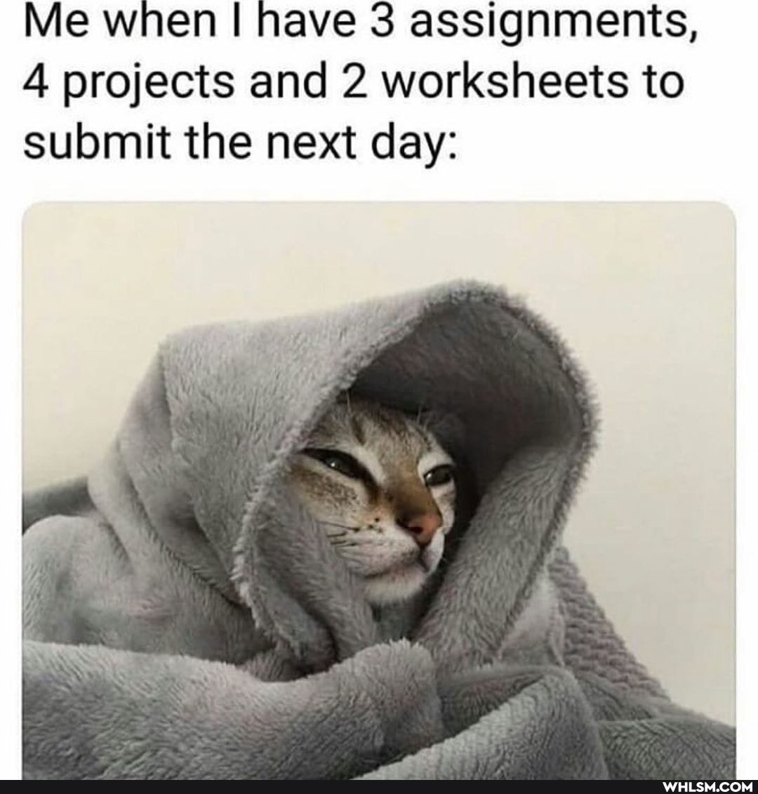 Me when have 3 assignments,
4 projects and 2 worksheets to submit the next day: