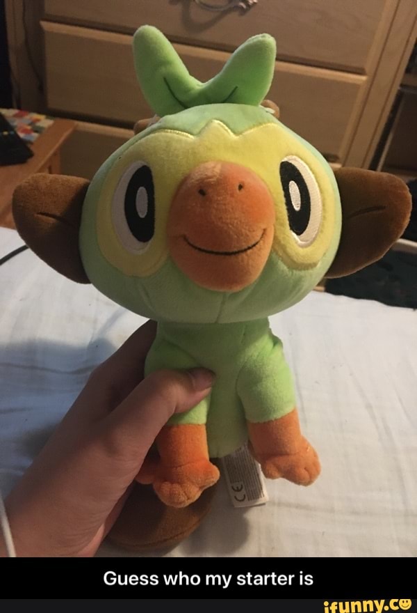Guess who my starter is - Guess who my starter is