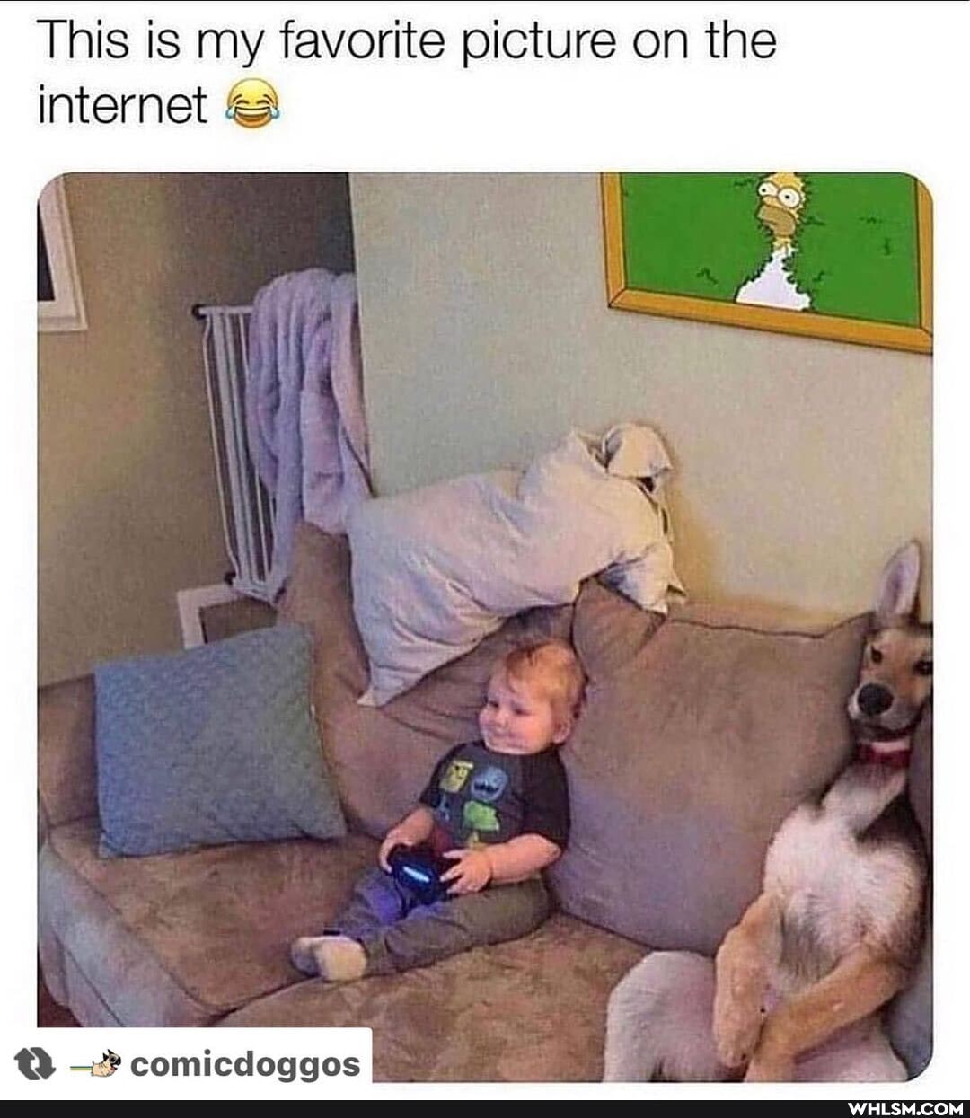 This is my favorite picture on the internet
comicdoggos