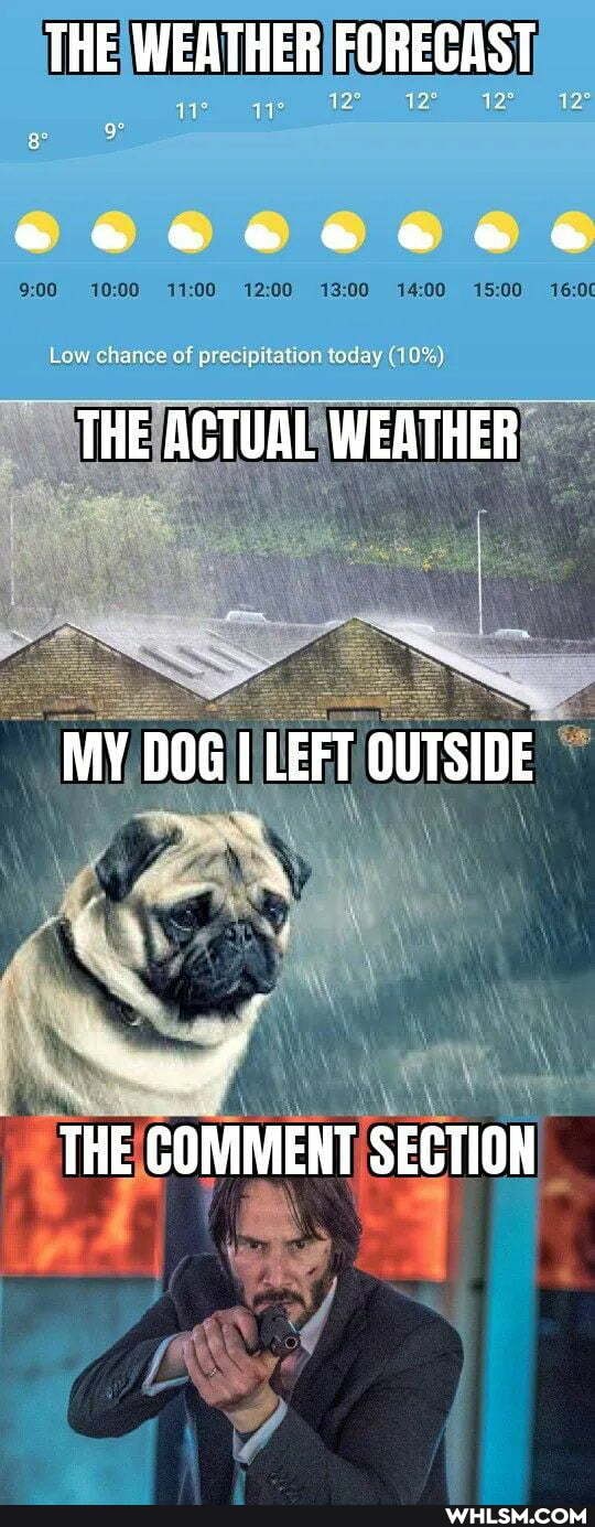 THE WEATHER FORECAST
Low chance of precipitation today (10%)
THE ACTUAL WEATHER
MY DOG I LEFT OUTSIDE
THE COMMENT SECTION