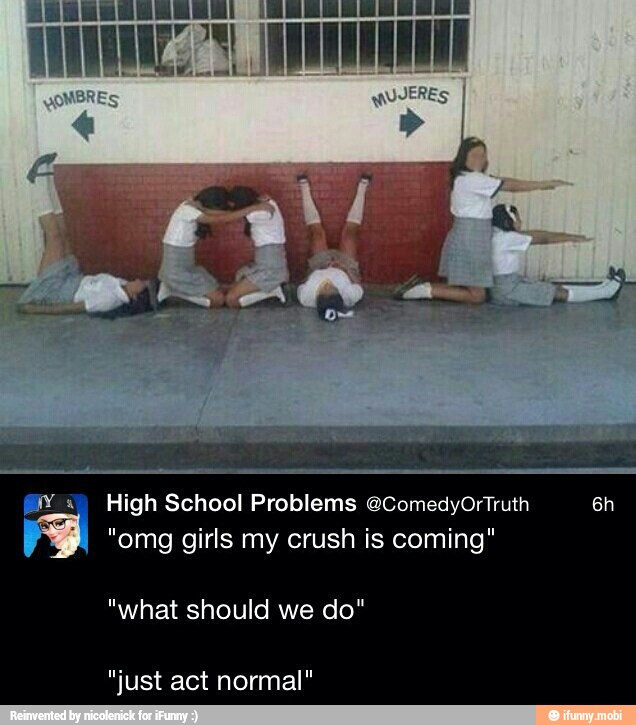 High School Problems @ComedyOrTruth
"omg girls my crush is coming"
"what should we do"