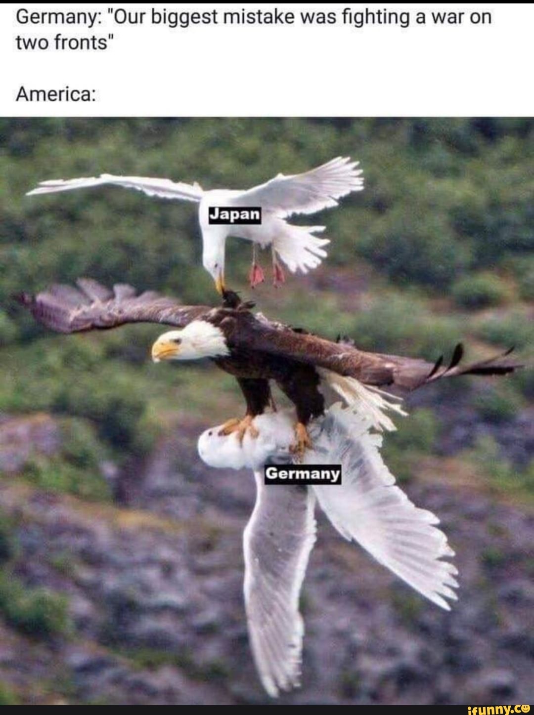 Germany: "Our biggest mistake was fighting a war on
two fronts"
America: