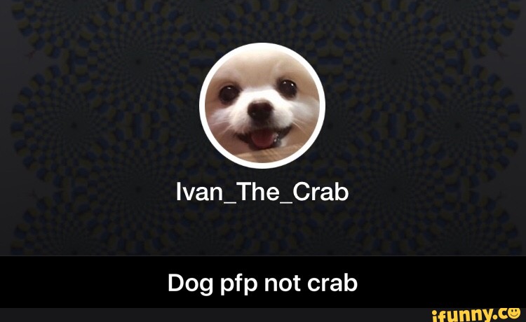 Dog Pfp Not Crab Ifunny