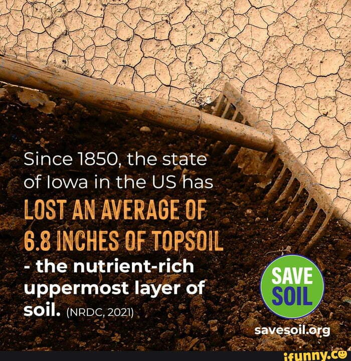 Since 1850, the state of lowa in the US 'has LOST AN AVERAGE 0 6.8 ...