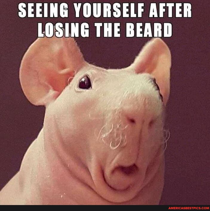 SEEING YOURSELF AFTER LOSING THE BEARD