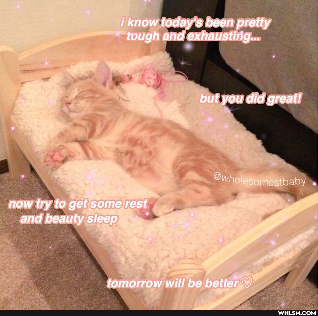 i know today's been pretty luugh and exhausting...
but you did great!
now try to get some rest and beauty sleep
tomorrow will be better