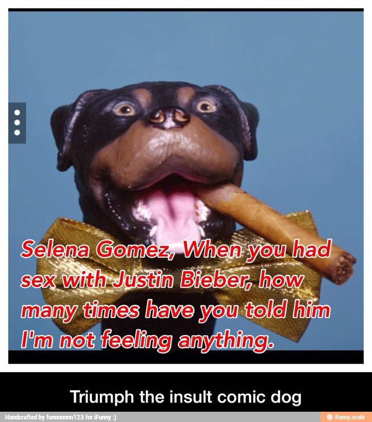 Triumph the insult comic dog - Triumph the insult comic dog