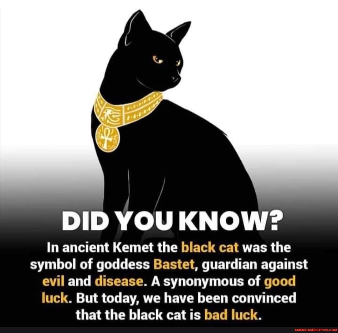 DID YOU KNOW?
In ancient Kemet the black cat was the symbol of goddess Bastet, guardian against evil and disease. A synonymous of good
luck. But today, we have been convinced that the black cat is bad luck.