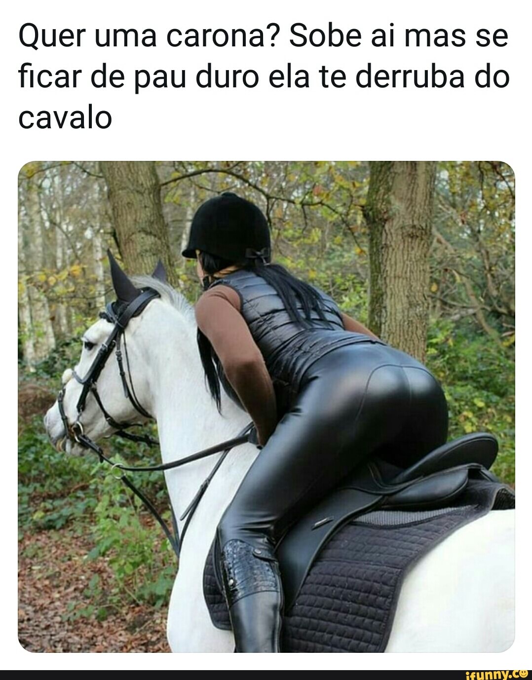 Quer uma carona? Sobe ai mas se ficar de pau duro ela te derruba do cavalo  - iFunny