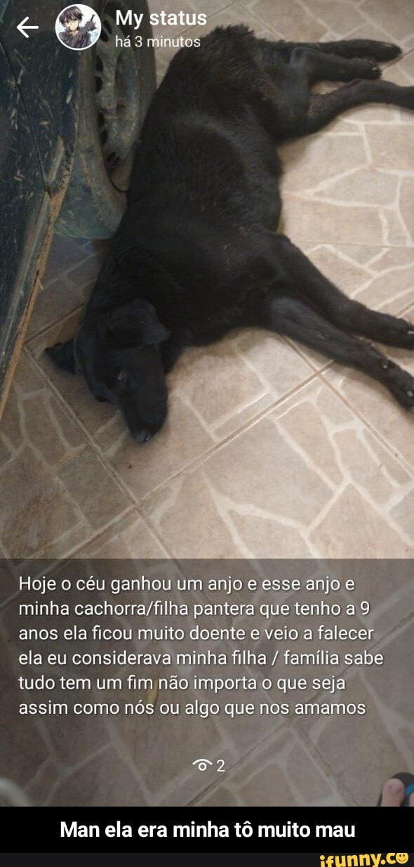 My status
- - -
Hoje o céu ganhou um anjo esse jo minha pantera que tenho a 9 anos ela ficou muito doente e veio a falecer ela eu considerava minha filha / família sabe tudo tem um fim não importe que seja assim como nós ou algo que nos ne amamos
&2
Man ela era minha tô muito mau - Man ela era minha tô muito mau