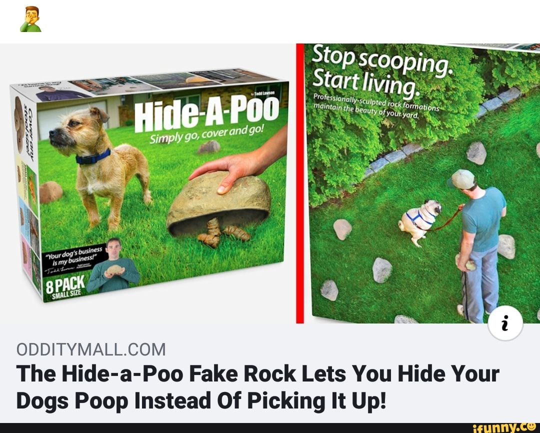 odditymall-com-the-hide-a-poo-fake-rock-lets-you-hide-your-dogs-poop