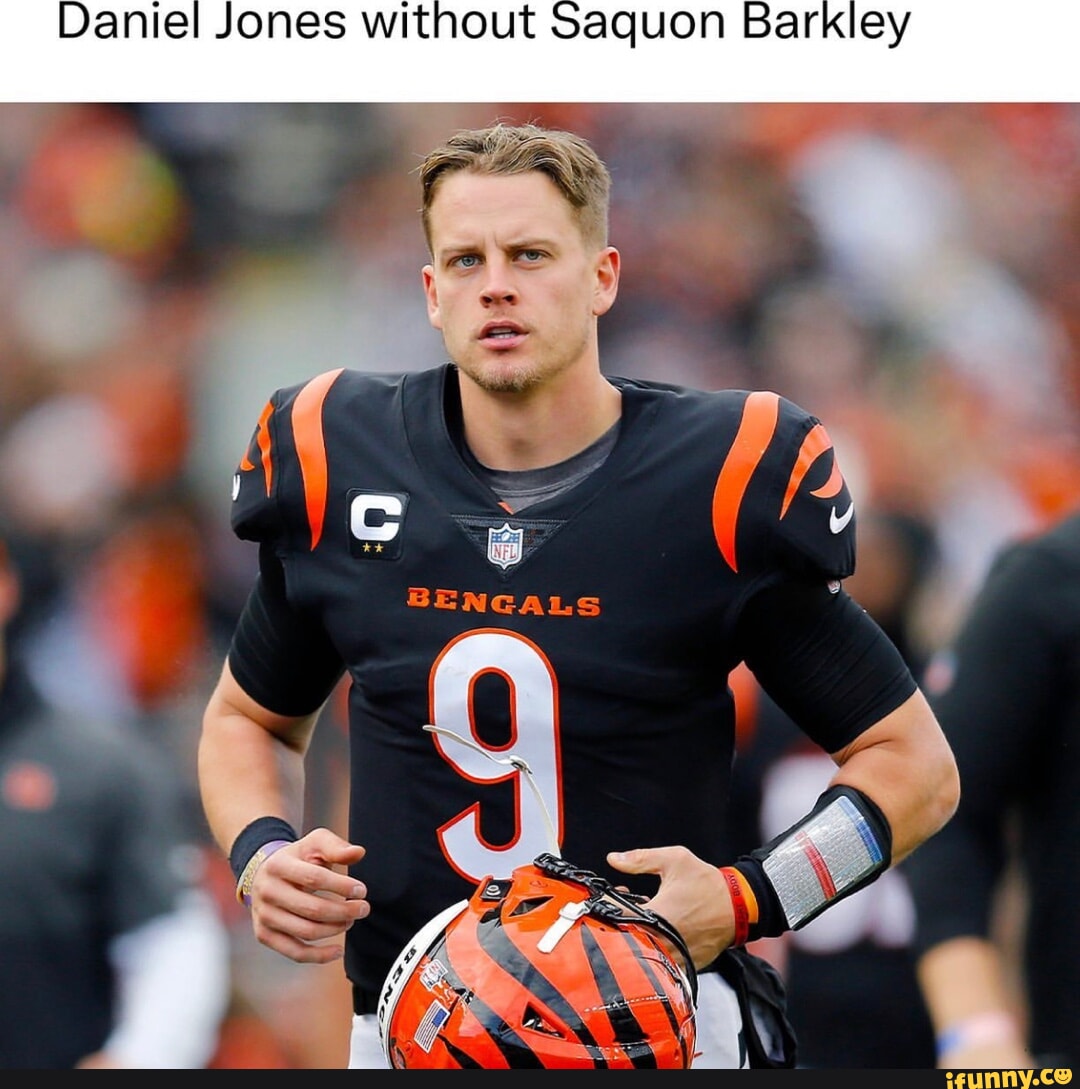 NFL Memes - Bet the house on the Bengals.