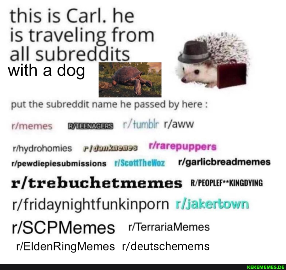 this is Carl. he is traveling from all subreddits with a dog put the subreddit n