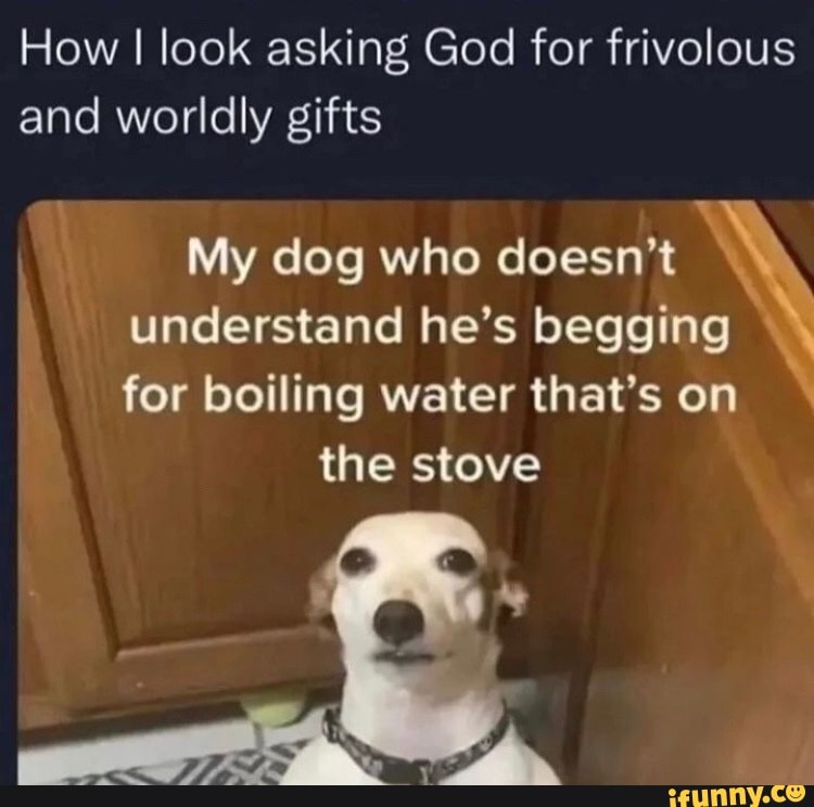 How I look asking God for frivolous and worldly gifts My dog who doesn