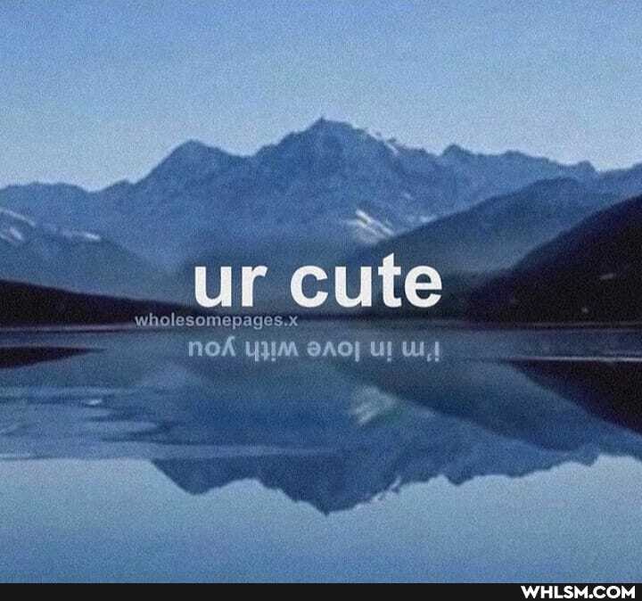 ur cute
wholesomepages.x.
NOÁ YHM UI UM,