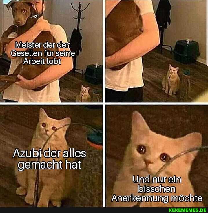 Meister der den
Gesellen für seine
Arbeit lobt
Azubi der alles gemacht hat
Und nurein
bisschen
Anerkennuna möchte