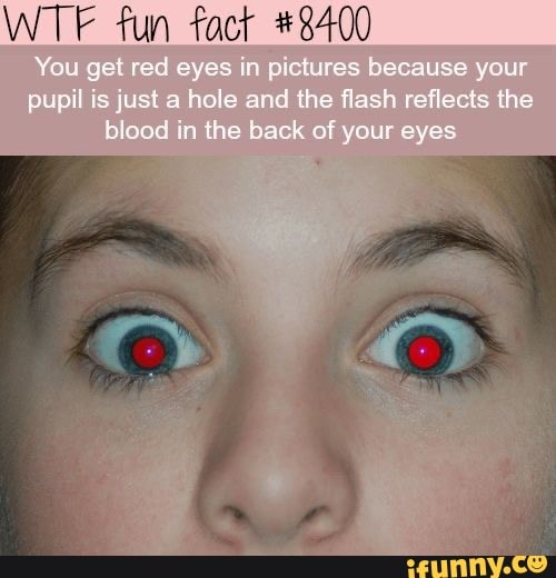 wtf facts about eyes