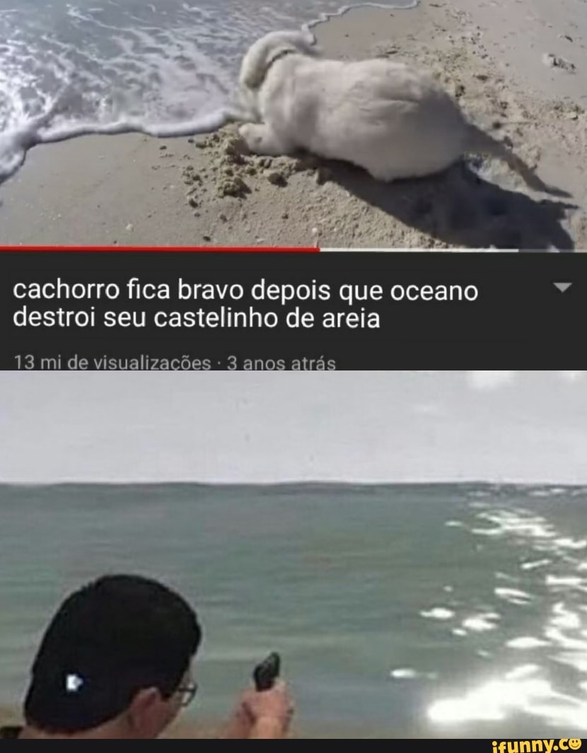 cachorro fica bravo depois que oceano destro: seu castelinho de areia
13 mi de visualizacões 3 anos atrás