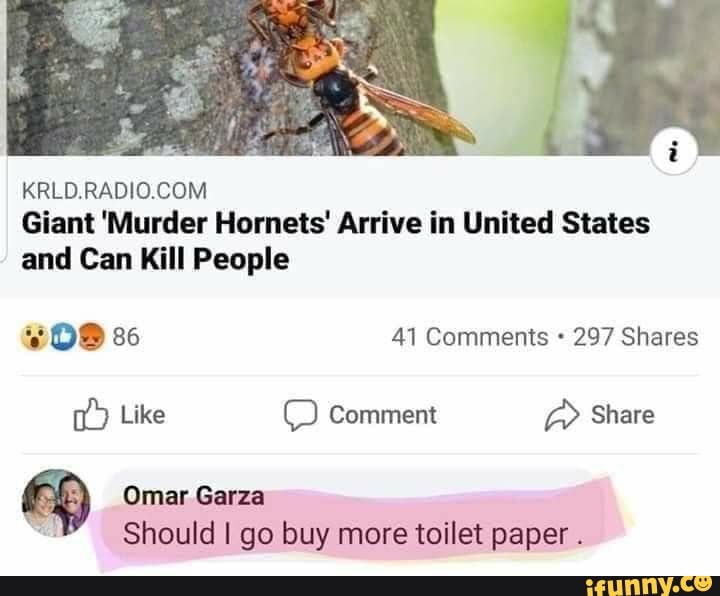 KRLD.RADIO.COM
Giant 'Murder Hornets' Arrive in United States
and Can Kill People
09 86 41 Comments 297 Shares
190) Omar Garza
e Should I go buy more toilet paper