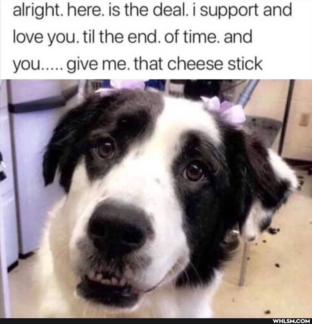 alright. here. is the deal. support and love you. til the end. of time. and you..... give me. that cheese stick