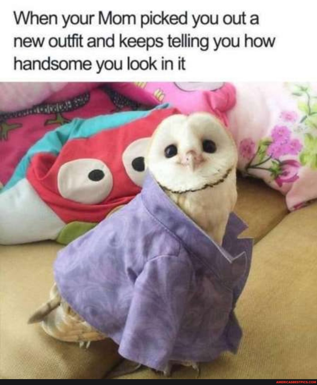 When your Mom picked you out a new outfit and keeps telling you how handsome you look in it