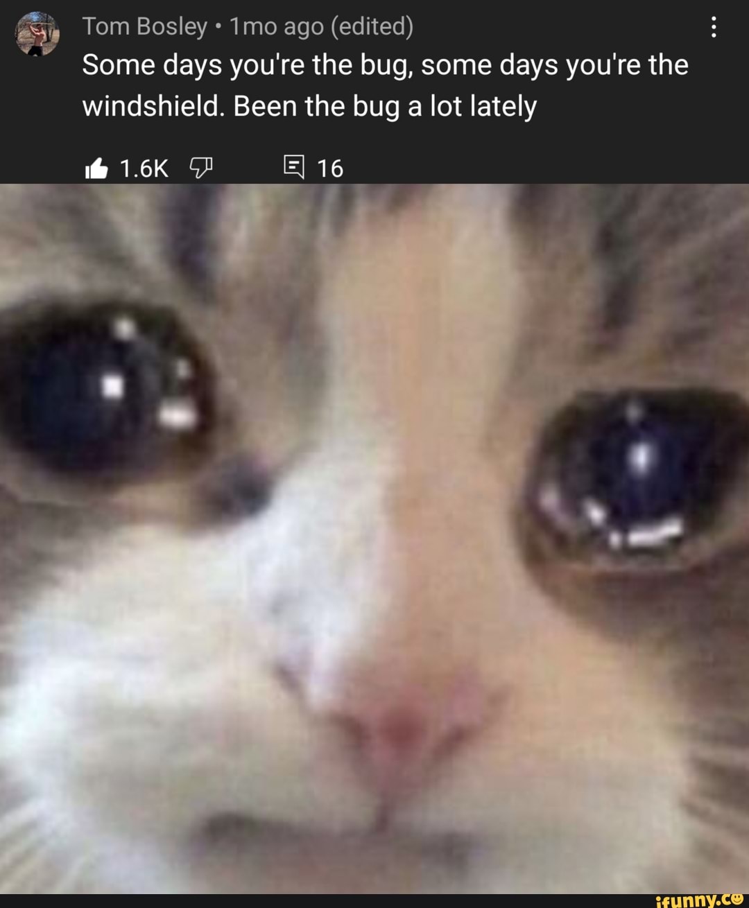 Ijust saw on reddit that the opposite of ”easy peasy lemon squeezy” is "stressed depressed lemon