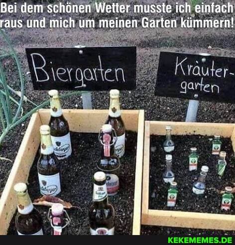 Bei dem schönen Wetter musste ich einfach raus und mich um meinen Garten kümmern!