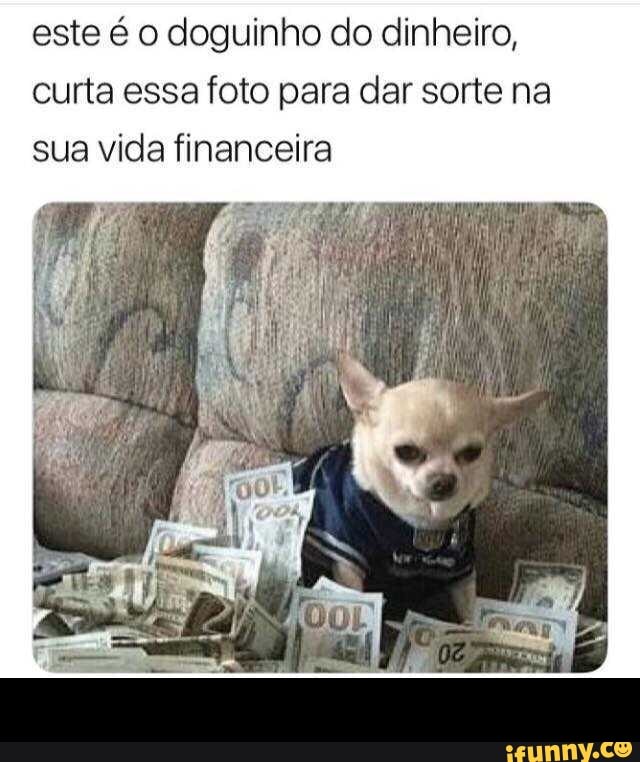 este é o doguinho do dinheiro,
curta essa foto para dar sorte na
sua vida financeira -
