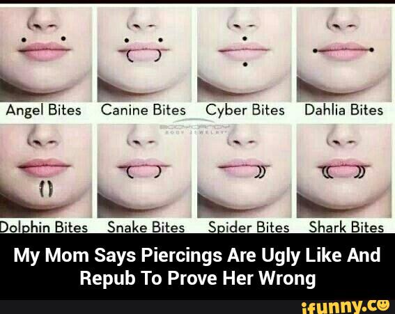 Doi Hin Bites Snake Bites S Ider Bites Shark Bites My Mom Says Piercings Are Ugly Like And Repub To Prove Her Wrong Ifunny