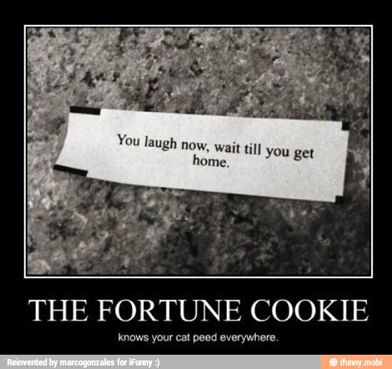 THE FORTUNE COOKIE
knows your cat peed everywhere.
