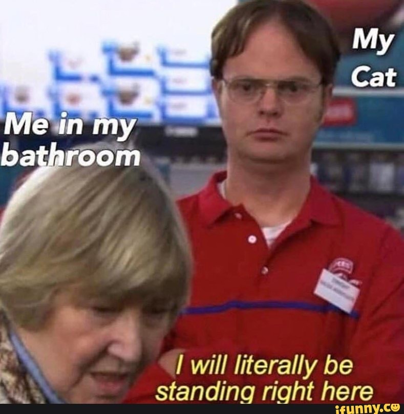 will literally be