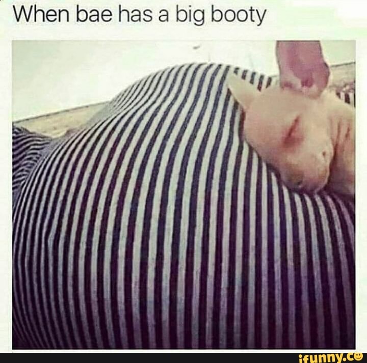 Bae big booty Nice Booty,