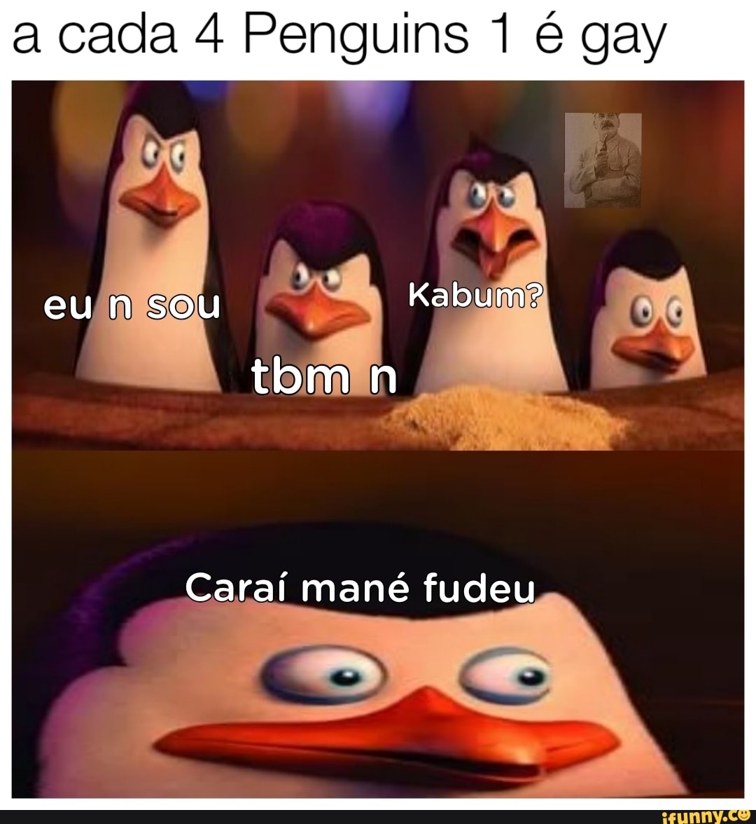 a cada 4 Penguins 1 é gay
SOU
Caraí mané fudeu.
