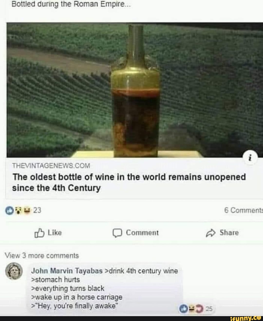 Bottled during the Roman Empire The oldest bottle of wine in the world