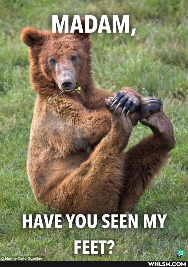 MADAM,
HAVE YOU SEEN MY FEET?
