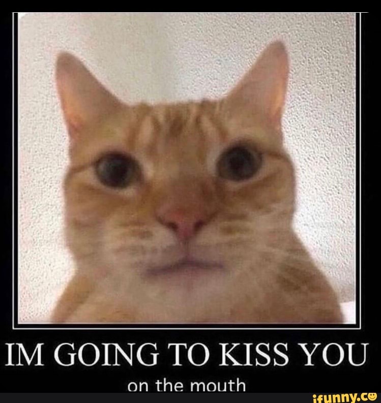 Im Going To Kiss You On The Mouth Ifunny