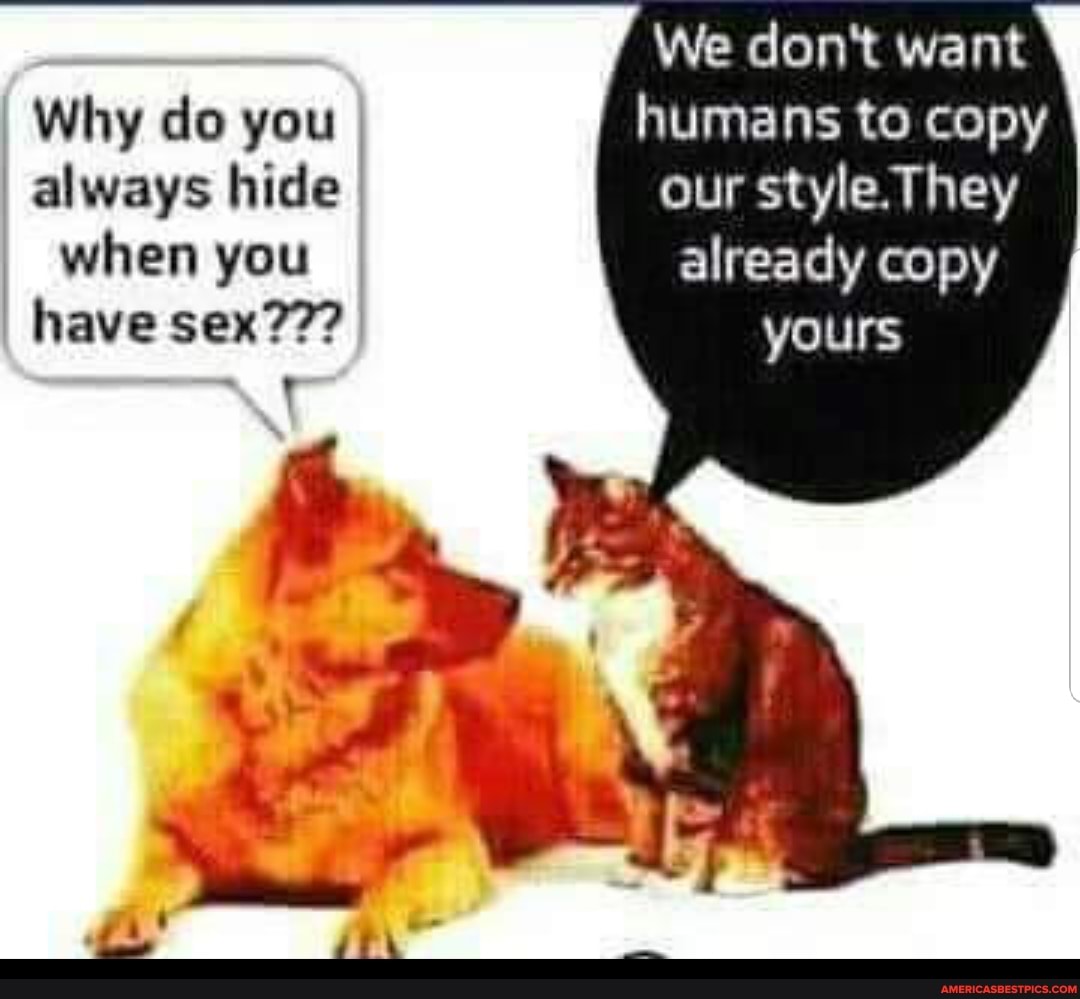 We don't want
Why do you humans to copy always hide our style. They when you already copy have sex??? yours
